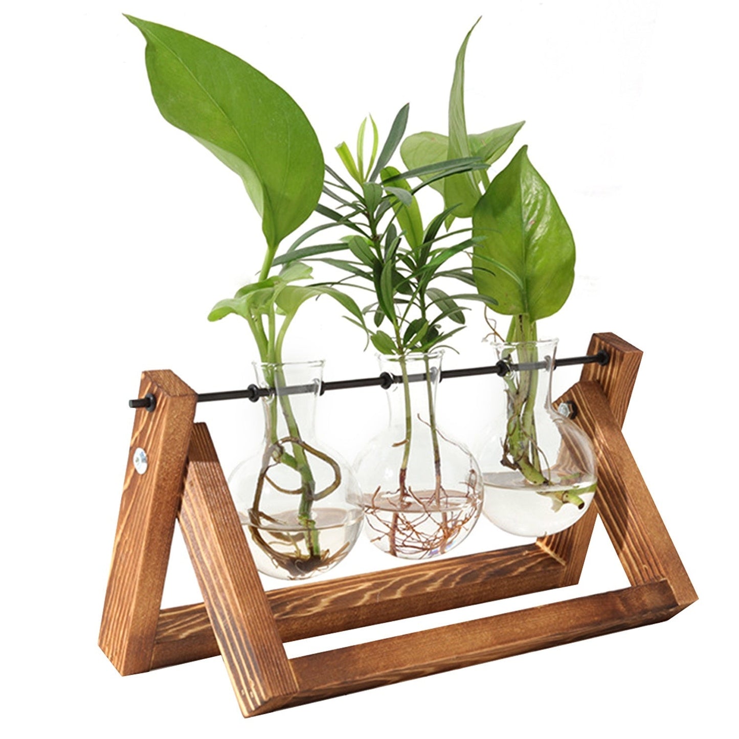 mothers day gifts - Desktop Glass Planter Bulb Plant Terrarium with Wooden Stand - DREAM YOUR HOUSE