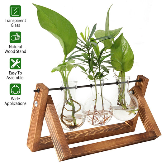 mothers day gifts - Desktop Glass Planter Bulb Plant Terrarium with Wooden Stand - DREAM YOUR HOUSE