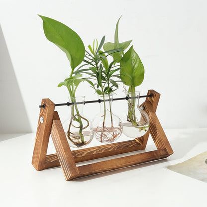 mothers day gifts - Desktop Glass Planter Bulb Plant Terrarium with Wooden Stand - DREAM YOUR HOUSE